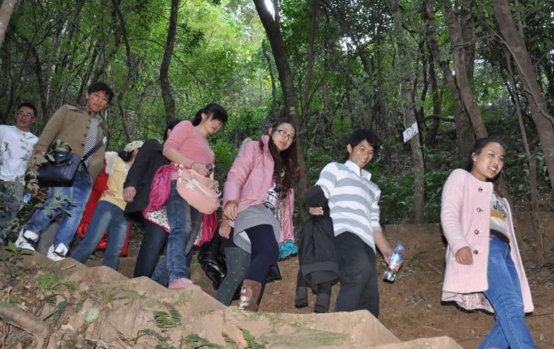 青龍峽位于昆明西郊安寧市青龍鎮(zhèn)滇中生態(tài)大峽谷中，景區(qū)有保存較為完好的植物群落，遮天蔽日的參天古木；有浪漫山花，野果飄香，還有清秀寧靜的田園風(fēng)光。河谷沿岸古柳成蔭，幾十里的云南櫻花大道成為昆明郊游靚麗的風(fēng)景線。景區(qū)中溪水潺潺，千姿百態(tài)、千奇百怪的蔓藤風(fēng)光隨處可見，號稱“都市身旁的小九寨。